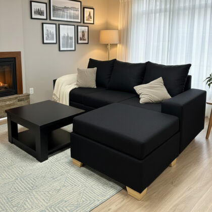 ESQUINERO FEDER PANA PREMIUM 210x160x90 Camastro movible Sin apoya brazo
